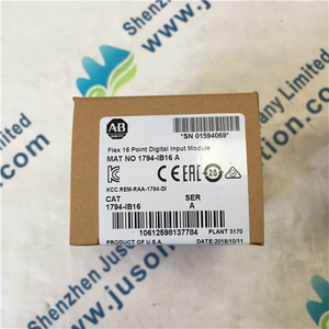 Allen Bradley PLC digital input module 1794-IB16 