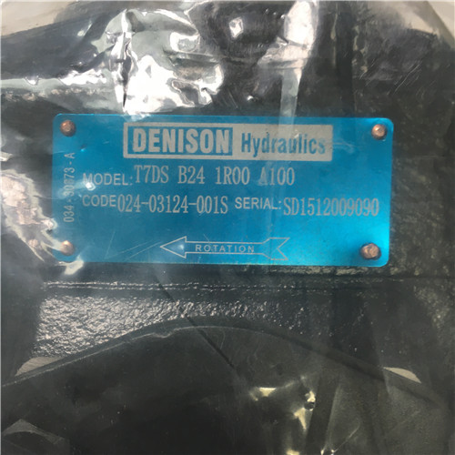 DENISON T7DS B24 1R00 A100 pump
