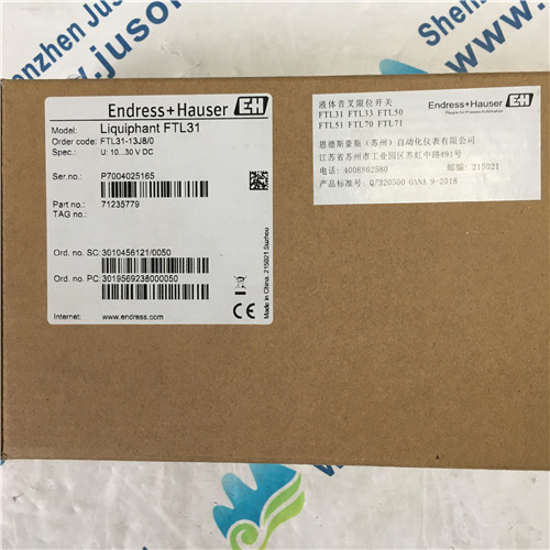 Endress+Hauser Liquiphant FTL31 Liquid limit switch