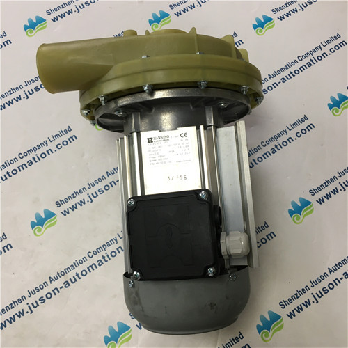 HANNING PS80S-083 Pump